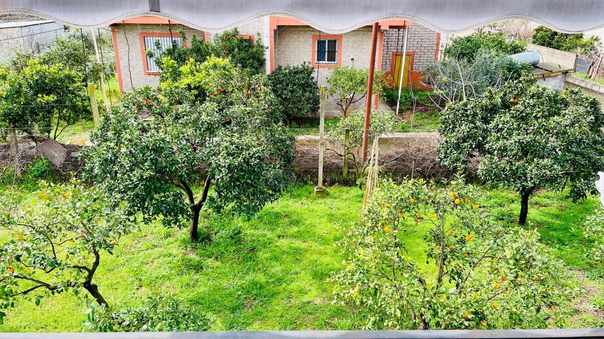 Mia Guest House - Entire Home With Balcony & Garden Divjake Εξωτερικό φωτογραφία